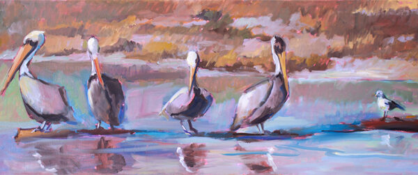 4 pelicans and a seagull SOLD